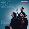 Download track Piano Trio No. 7 In G Major, Hob. XV 41 IV. Finale. Allegro