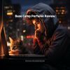 Download track Cryptography