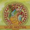 Download track La Plantita