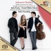 Download track 02 - Violin Concerto In D, Op. 77 - II. Adagio