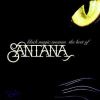 Download track Flor D'Luna (Moonflower)