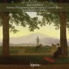 Download track 11. Serenade In D Major Op. 25 - Allegro Scherzando E Vivace