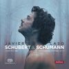 Download track Davidsbundlertanze, Op. 6 XII. Mit Humor