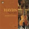 Download track Baryton Trio No. 10 In A Major Hob. XI: 10 - I. Allegro Moderato