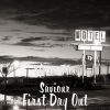 Download track First Day Out