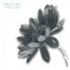 Download track Low Spirits Meme