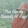 Download track Rain On A Window