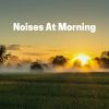 Download track Sunday Evening White Noise, Pt. 9