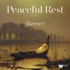 Download track Requiem A 15 In A Major: VI. Agnus Dei'