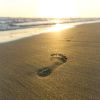 Download track A Step Forward