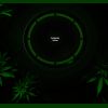 Download track Coming Back