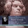 Download track Piano Sonata No. 18 In E-Flat Major, Op. 31 No. 3 Hunt I. Allegro