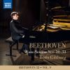 Download track Piano Sonata No. 32 In C Minor, Op. 111 II. Arietta. Adagio Molto Semplice E Cantabile