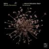Download track 6. Ouverture No. 1 In C Major BWV 1066 - Menuet 1 2