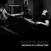 Download track A Bridge To Burn