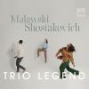 Download track Piano Trio No. 2 In E Minor, Op. 67: II. Allegro Con Brio