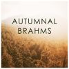 Download track Variations On A Theme By Paganini, Op. 35 / Book 1: Variation IV