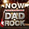 Download track Search And Destroy (Iggy Pop Mix)