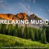 Download track Tibetan Healing Sounds