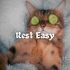 Download track Hard Lesson