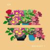 Download track AZALEAS
