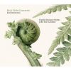 Download track 3. Violin Concerto In A Minor BWV 1041 - III. Allegro Assai