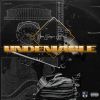 Download track Shawn Kemp Freestyle