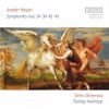 Download track Symphony No. 24 In D Major, Hob. I'24 IV. Finale. Allegro