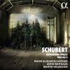 Download track 01 Piano Trio No. 2 In E-Flat Major, Op. 100, D. 929 I. Allegro