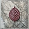 Download track Auă