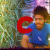 Download track Chuva De Granizo