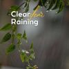 Download track Rain Playlist