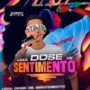 Download track Você Não É Ela