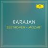 Download track Horn Concerto No. 1 In D Major, K. 386b: I. (Allegro) K. 412