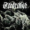 Download track Projektion