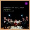 Download track String Quintet In B-Flat Major, Op. 87: I. Allegro Vivace