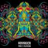 Download track Distorted Visions