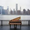 Download track Calming Lunar Reverie