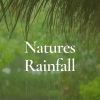 Download track Simple Beautiful Rain