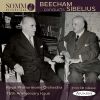 Download track 3. Symphony No. 1 In E Minor Op. 39 - III. Scherzo Allegro