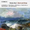 Download track Flute Concerto, Op. 63 - I. Largo Misterioso - Allegro Moderato