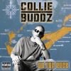 Download track B - E - R - M - U - D - A
