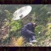 Download track Blueberry Moon