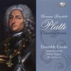 Download track 06. Sonata A Violoncello Solo E Basso Continuo In D Minor - II. Allegro