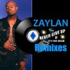 Download track Never Give Up (If It's Your Dream) (The Extended Evolution Remix)