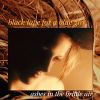Download track Let The Rain Fall