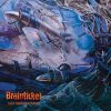 Download track Brainticket Blues