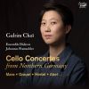 Download track Abel: Cello Concerto In B-Flat Major: II. Adagio Ma Non Troppo