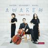 Download track Piano Trio In A Minor, M. 67 I. Modéré