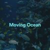 Download track Classy Ocean